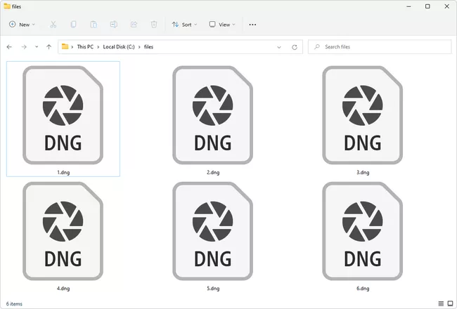 Abra archivos DNG con Photoshop en Windows 11