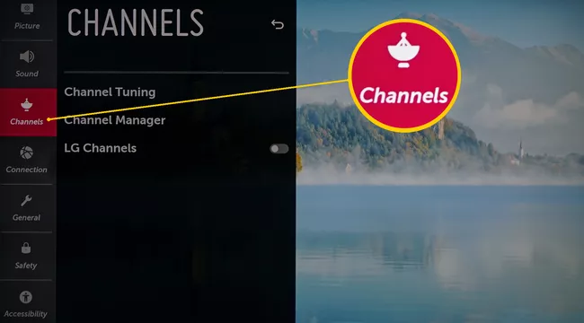 Configuración de TV LG - Seleccionar categoría de canal